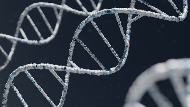 Applied DNA Sciences, Inc. (NASDAQ:APDN) Q1 2023 Earnings Call Transcript - Vimarsana News