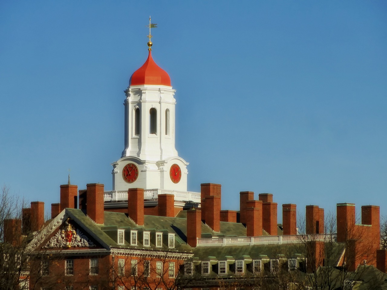 Harvard University Stocks List: Top 5 Picks - Vimarsana News