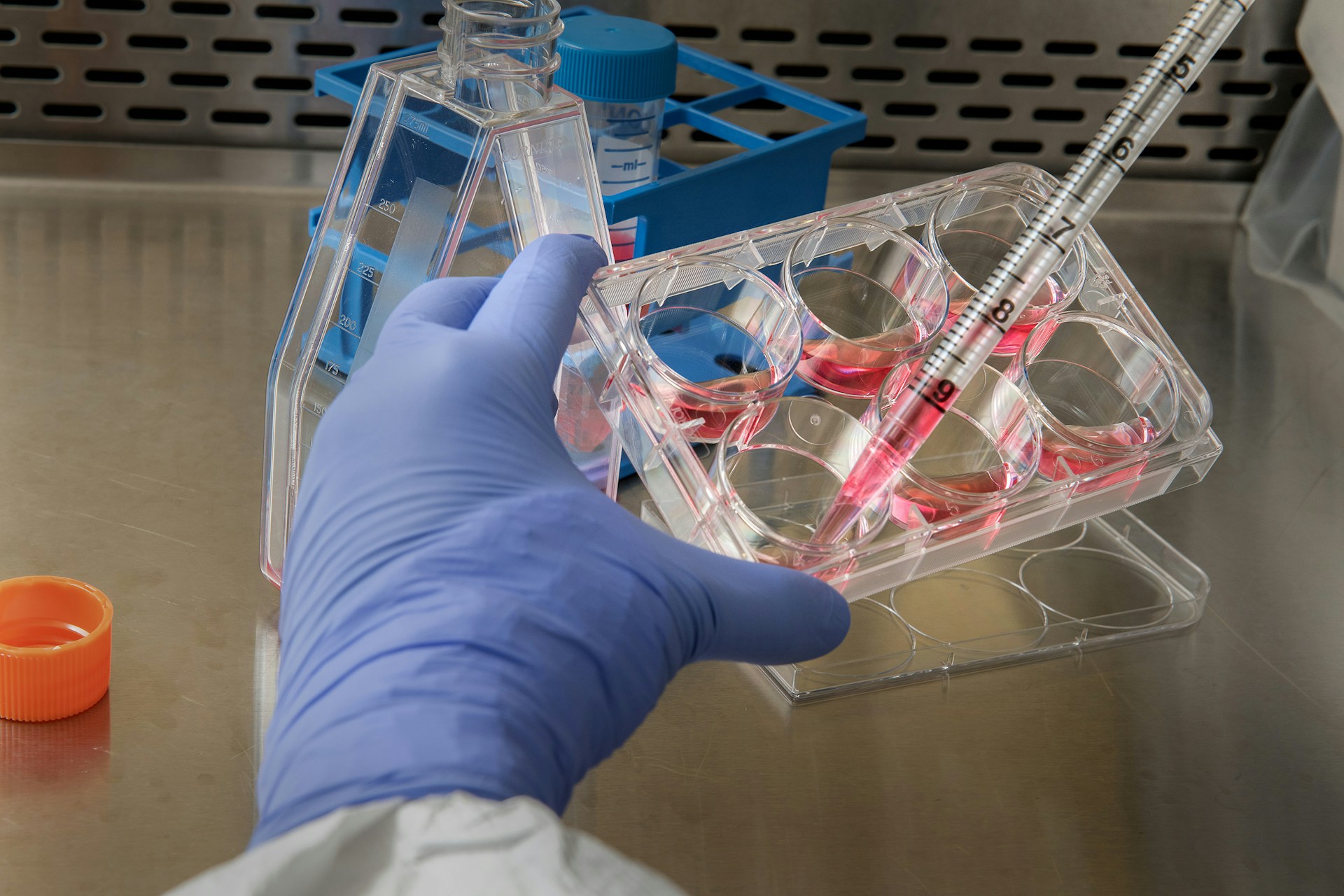 9 Best Gene-Editing Stocks to Buy According to Hedge Funds