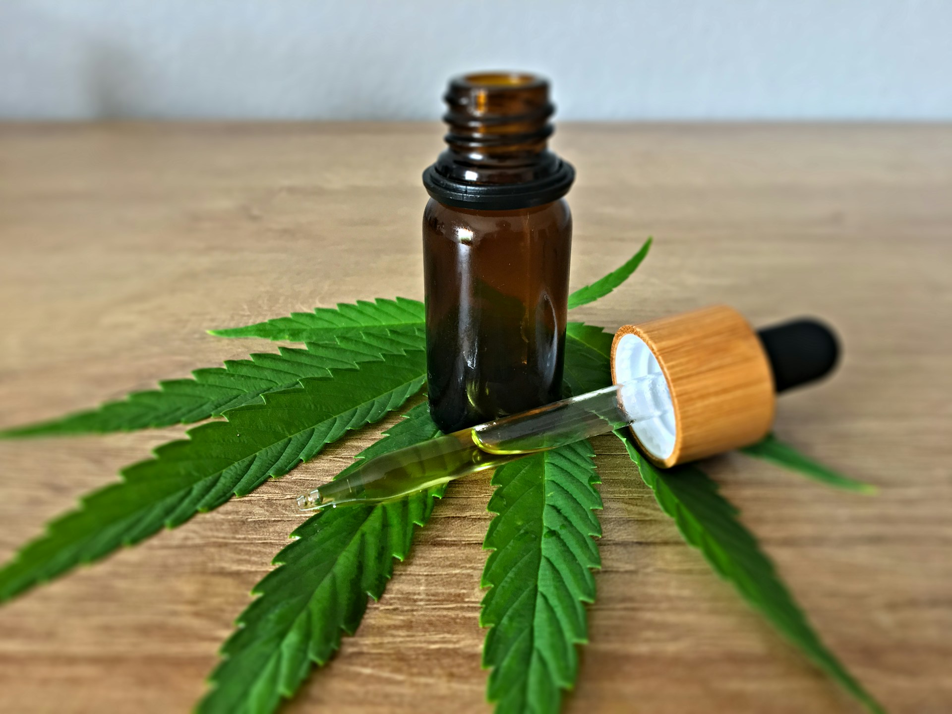 8 Best CBD Stocks to Buy Right Now